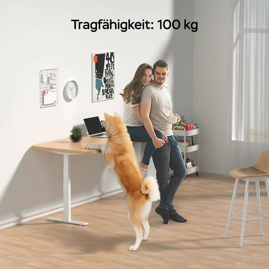 BOSCH Stark Dual-Motoren Elektrisch Höhenverstellbares Tischgestell,Schnellmontage-Ausführung