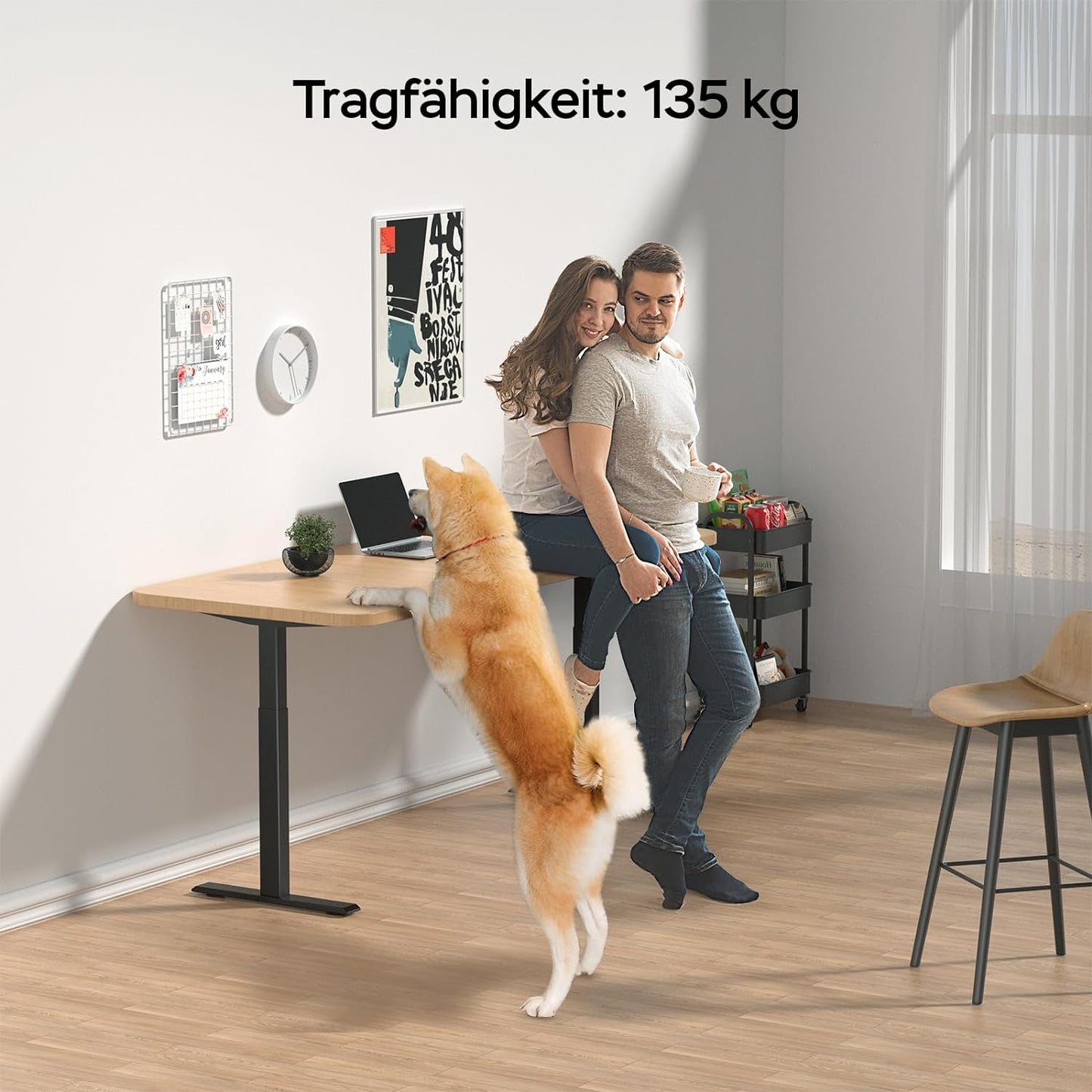 *1W / 1B * Super-Solu Elektrisch Höhenverstellbares Tischgestell Dual-Motoren / 2-Fach-Teleskop